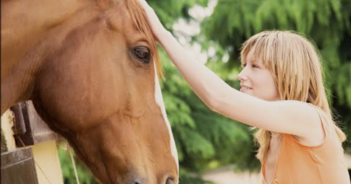 A woman touching a horse’s face